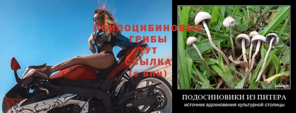 мдма Гусиноозёрск