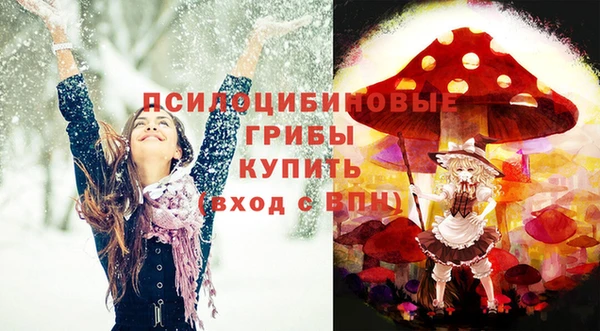 дживик Горно-Алтайск